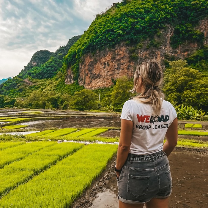 Khám phá Mai Hạ Hòa Bình, ôm trọn cảnh đẹp vào lòng