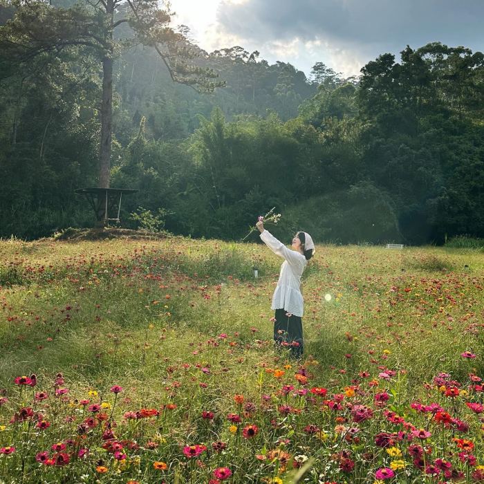 điểm du lịch ở Đà Lạt ít đông đúc Dalat Camp