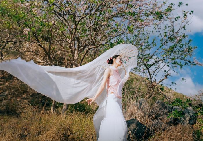 địa điểm ngắm hoa đỗ mai ở Vũng Tàu Đồi Con Heo