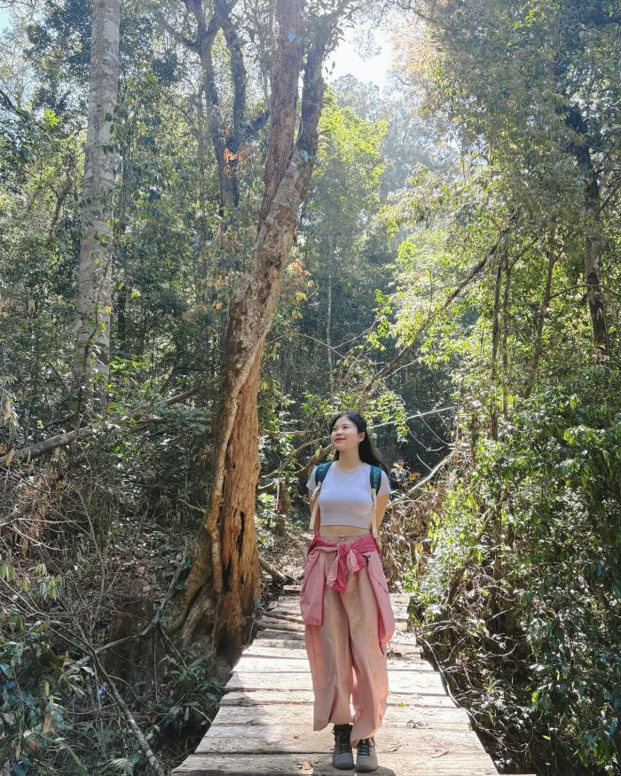 điểm du lịch ở Đà Lạt ít đông đúc Vườn quốc gia Bidoup - Núi Bà