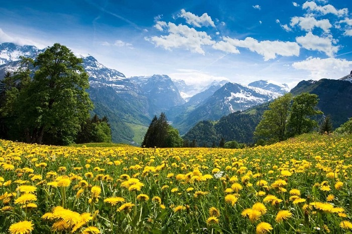 kinh nghiệm du lịch Thụy Sĩ mùa xuân nên đến Zermatt