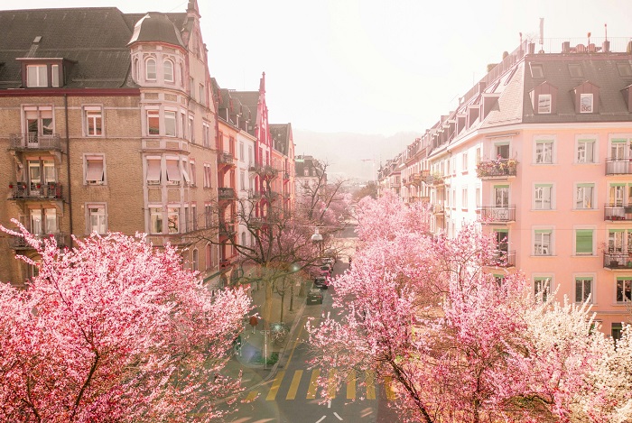 kinh nghiệm du lịch Thụy Sĩ mùa xuân nên đến Zurich