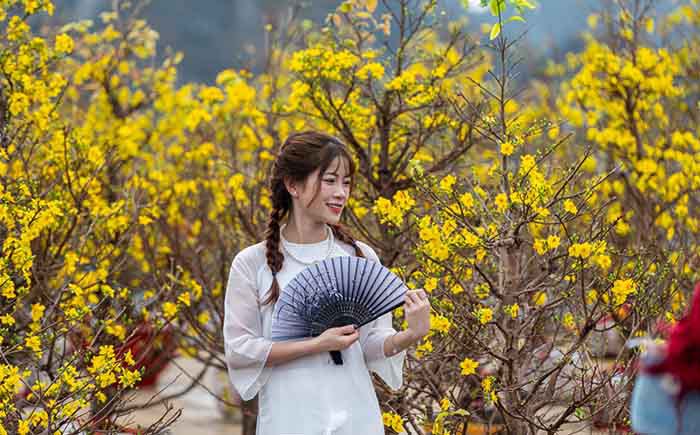 điểm chụp áo dài Tết đẹp ở Hạ Long - Các khu chợ hoa ngày Tết