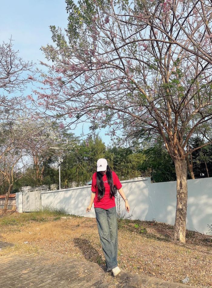 địa điểm ngắm hoa đỗ mai ở Vũng Tàu đường Trần Phú 