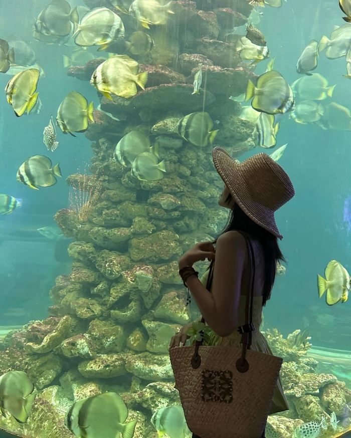 Giá vé các địa điểm tham quan Nha Trang 2026 Viện hải dương học 