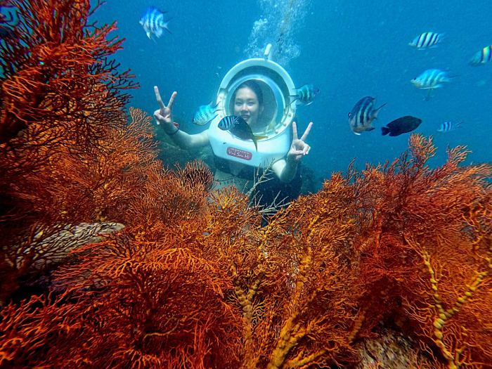 Giá vé các địa điểm tham quan Nha Trang 2026 KDL Vịnh San Hô Nha Trang 