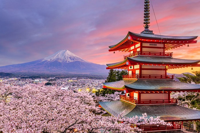 Kinh nghiệm đặt khách sạn ở Osaka - chọn thời điểm