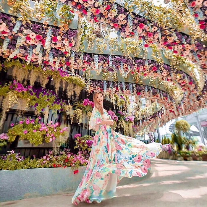 kinh nghiệm du xuân tại Singapore