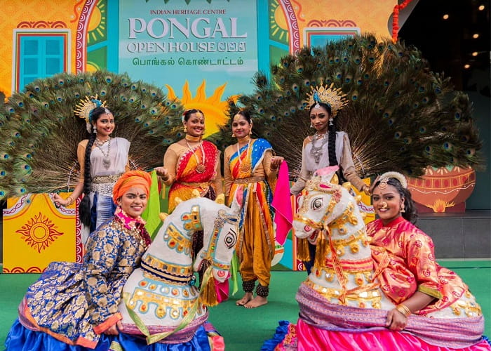 Lễ hội Pongal là lễ hội mùa xuân ở Singapore đặc sắc