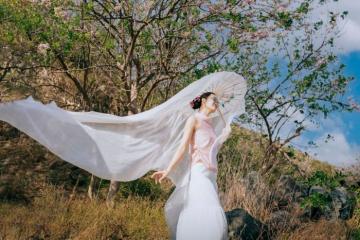 Top 5 địa điểm ngắm hoa đỗ mai ở Vũng Tàu đẹp ngất ngây khắp xứ biển