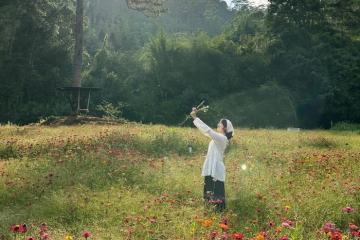 Top 10+ điểm du lịch ở Đà Lạt ít đông đúc để trốn khói bụi, tìm về an yên