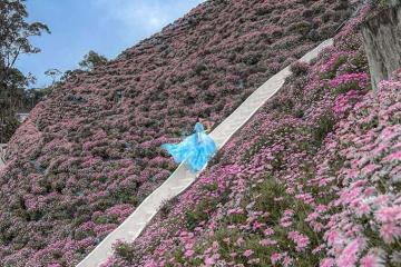 Top 5+ điểm du xuân đẹp ở Malaysia hot nhất Tết 2026