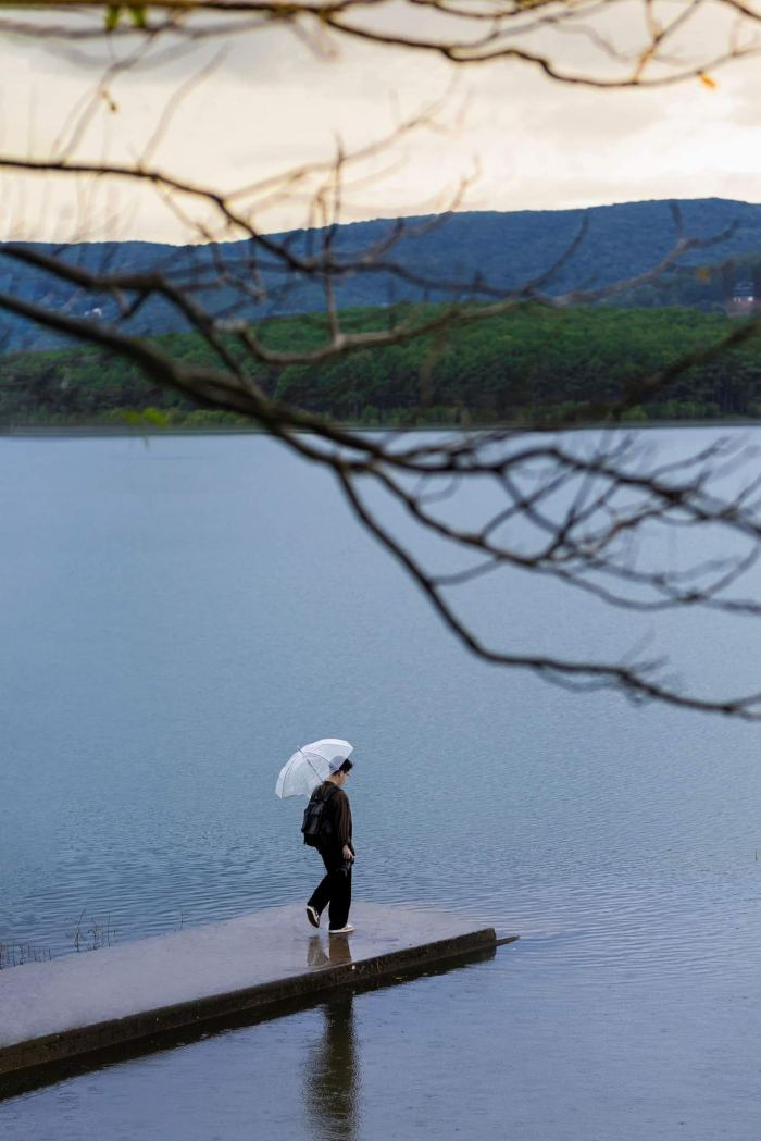 Trải nghiệm cáp treo ở Đà Lạt hồ tuyền lâm