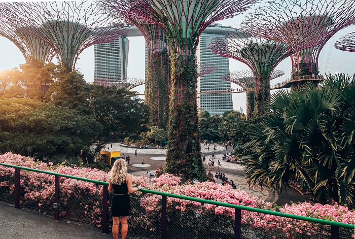 kinh nghiệm du xuân tại Singapore nên đến Gardens by the Bay