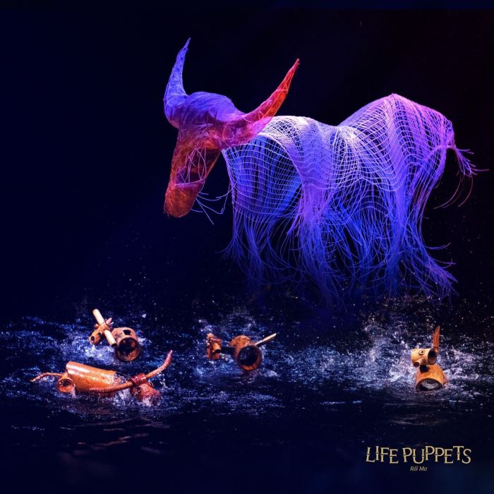 Các show diễn nổi tiếng ở Nha Trang Rối Mơ 