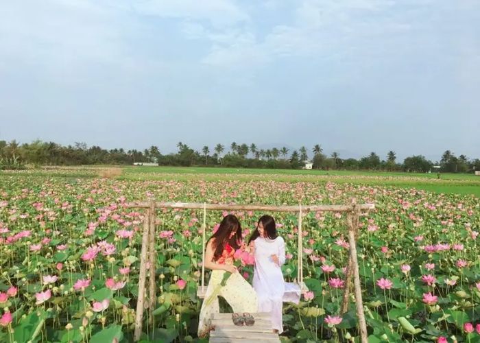 Địa chỉ khu du lịch Đồng Sen Tháp Mười