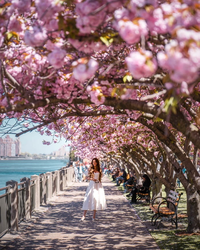 Du lịch New York mùa xuân có gì thú vị