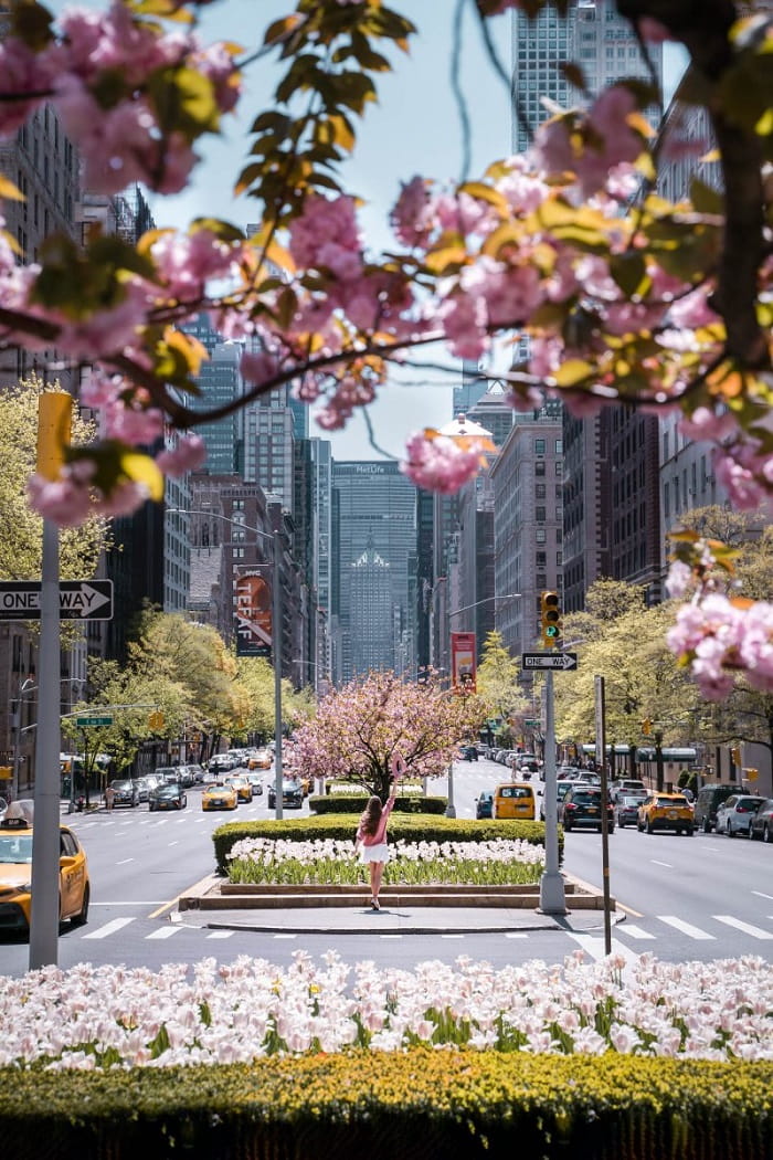 Du lịch New York mùa xuân
