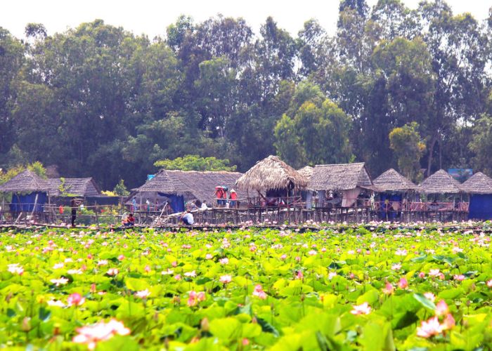 Giá vé Khu du lịch Đồng Sen Tháp Mười 