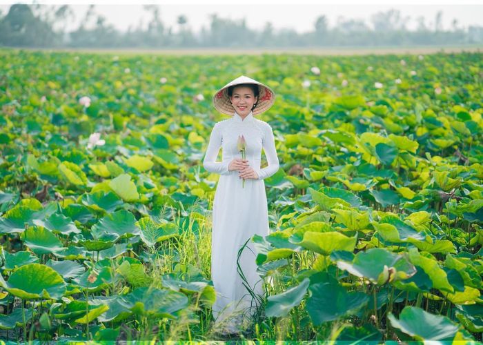 Nơi lưu trú khi đến khu du lịch Đồng Sen Tháp Mười