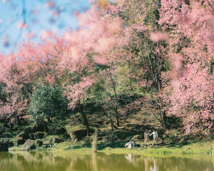 Kinh nghiệm du lịch Chiang Mai mùa xuân