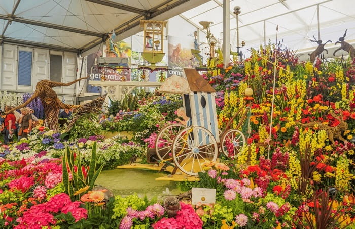 Triển lãm hoa RHS Chelsea là lễ hội mùa xuân ở Anh nên trải nghiệm 1 lần 