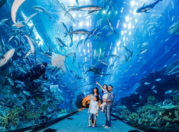 Lịch trình du lịch Dubai 6 ngày 5 đêm - Thuỷ cung