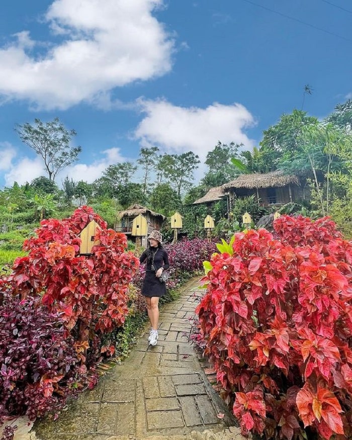lịch trình du xuân Thanh Hóa 2 ngày 1 đêm