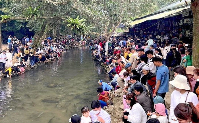 lịch trình du xuân Thanh Hóa 2 ngày 1 đêm