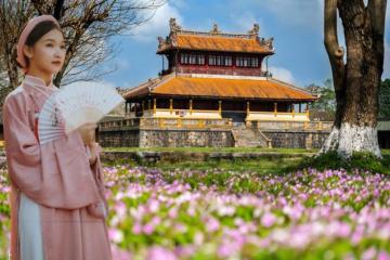 Top 9+ vườn hoa Tết đẹp ở Huế 2026: Cứ đứng vào là có ảnh đẹp mang về!