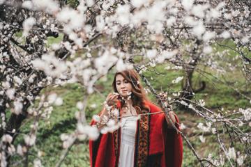 Du lịch Mộc Châu tháng 3 có gì đặc sắc mà ai cũng nhất định phải đi một lần?