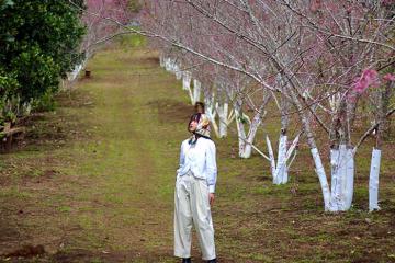 Cháy máy với 7+ địa điểm du xuân ở Kon Tum sang - xịn - mịn dịp Tết