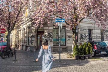 Cẩm nang du lịch Đức mùa xuân từ A-Z: Đi đâu và chơi gì?