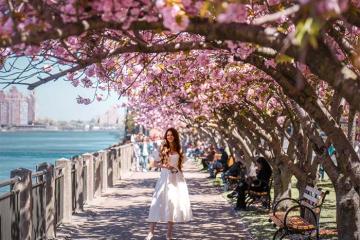 'Gom' ngay rổ ảnh nghìn like khi du lịch New York mùa xuân 2026