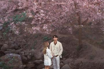 'Bỏ túi' kinh nghiệm du lịch Chiang Mai mùa xuân 2026 từ A đến Z