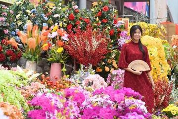 Lịch trình du xuân Thanh Hóa 2 ngày 1 đêm: Ăn gì, chơi đâu để không phí hoài kỳ nghỉ?