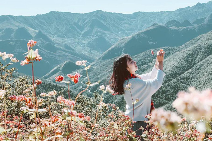 Kinh nghiệm du lịch Hà Giang dịp Tết - Vẻ đẹp tràn đầy sức sống của mùa xuân