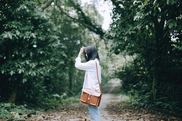 Công viên quốc gia Chư Mom Ray là địa điểm du xuân ở Kon Tum hấp dẫn