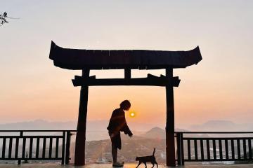 Lên Mộc Châu check in cổng trời phố núi siêu HOT HIT