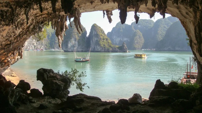 hòn Gà Chọi Hạ Long - quà tặng