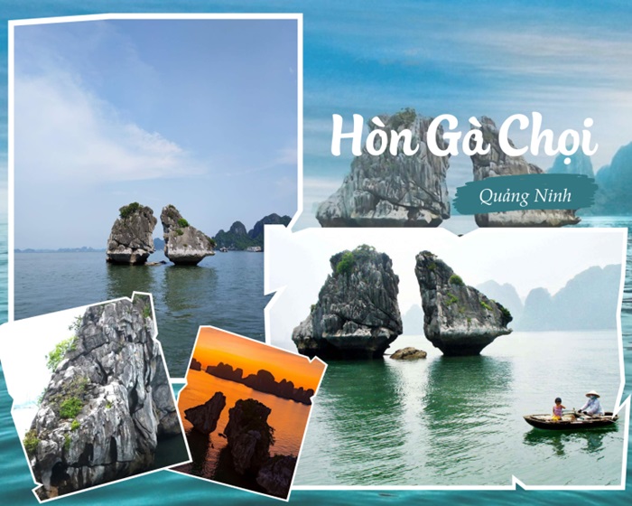 hòn Gà Chọi Hạ Long - điểm tham quan