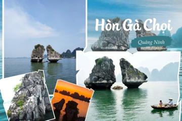 Hòn Gà Chọi Hạ Long - biểu tượng thiên nhiên kỳ vĩ của vịnh Di sản