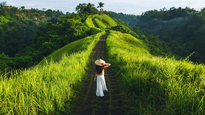 Đường đi bộ trên sườn núi Campuhan là điểm tham quan gần Chợ truyền thống Ubud Bali