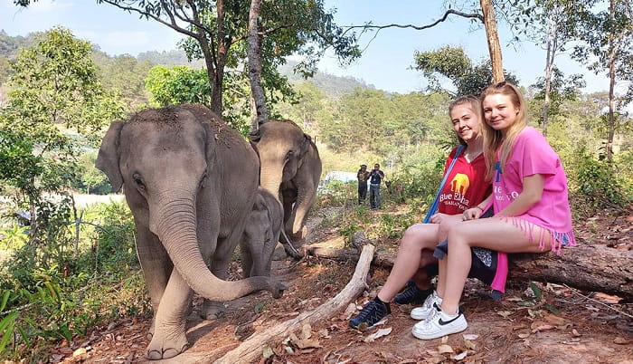 Đồi Voi Xanh là một trong các khu bảo tồn voi ở Chiang Mai