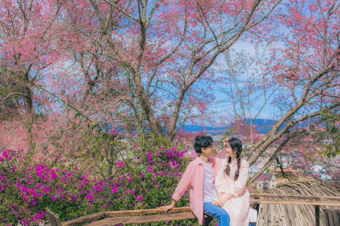 kinh nghiệm đi Đà Lạt từ Nha Trang