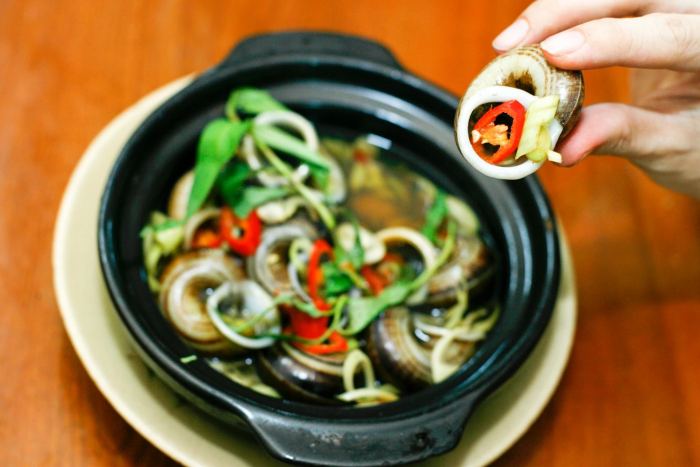 Ốc xu núi Bà Tây Ninh Ốc xu núi Bà Tây Ninh