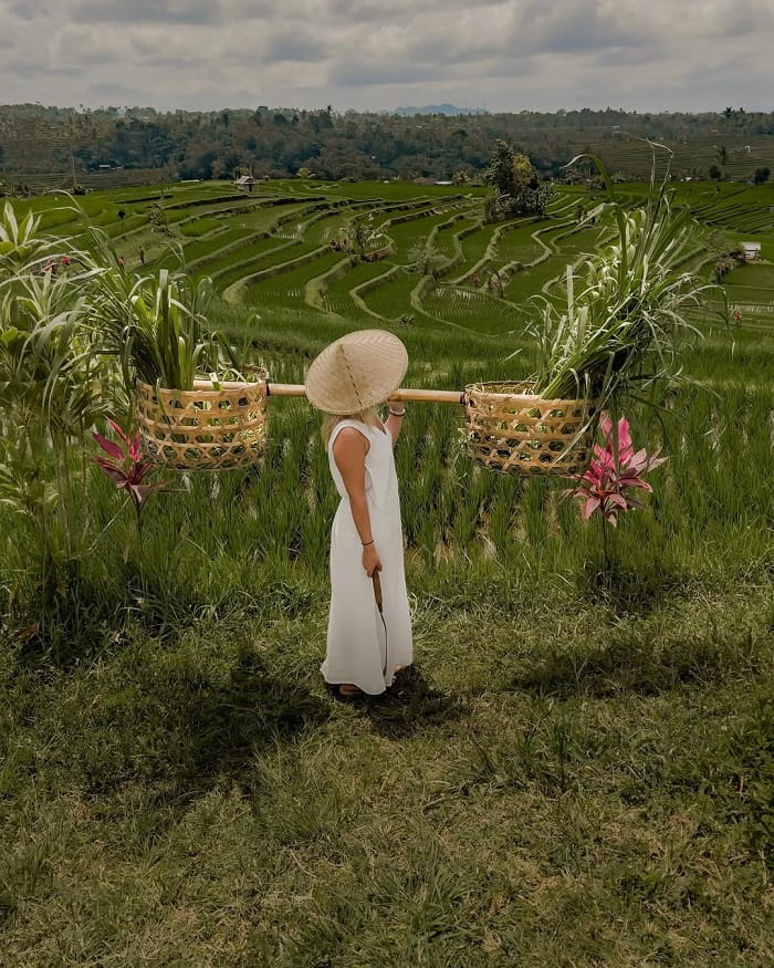 Khám phá cuộc sống nông thôn ở Bali là điều nên làm tại ruộng bậc thang Jatiluwih Bali