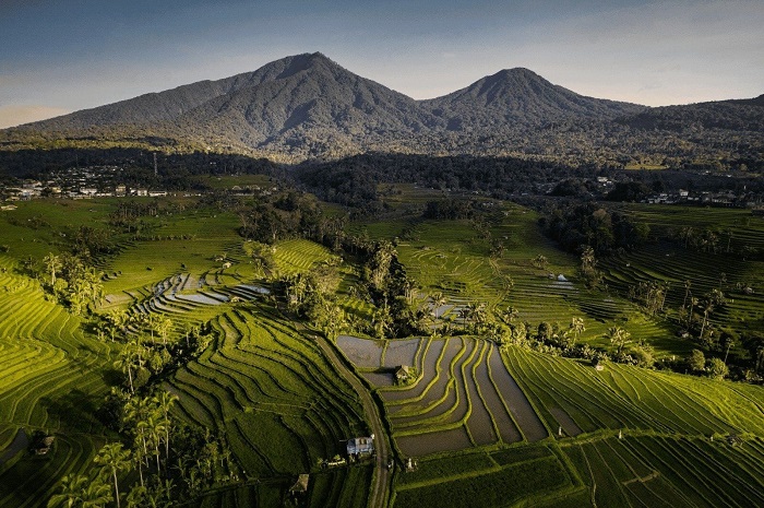 Chiêm ngưỡng ruộng bậc thang Jatiluwih Bali 