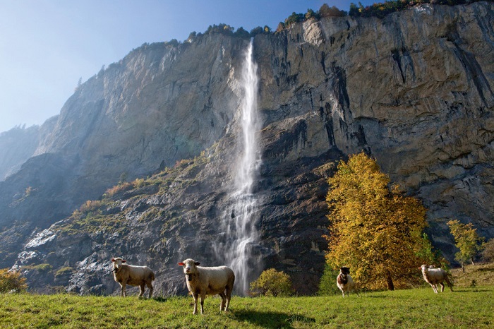 Chiêm ngưỡng thác Staubbach khi đến thị trấn Lauterbrunnen Thụy Sĩ