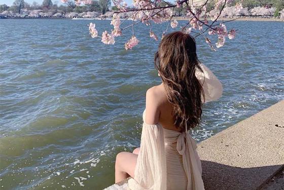 Hồ Tidal Basin Mỹ: điểm dạo bộ lãng mạn bậc nhất Washington!